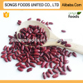 Red Kidney Beans Price